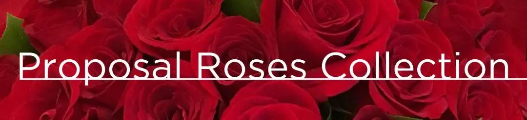 99 Roses Collection